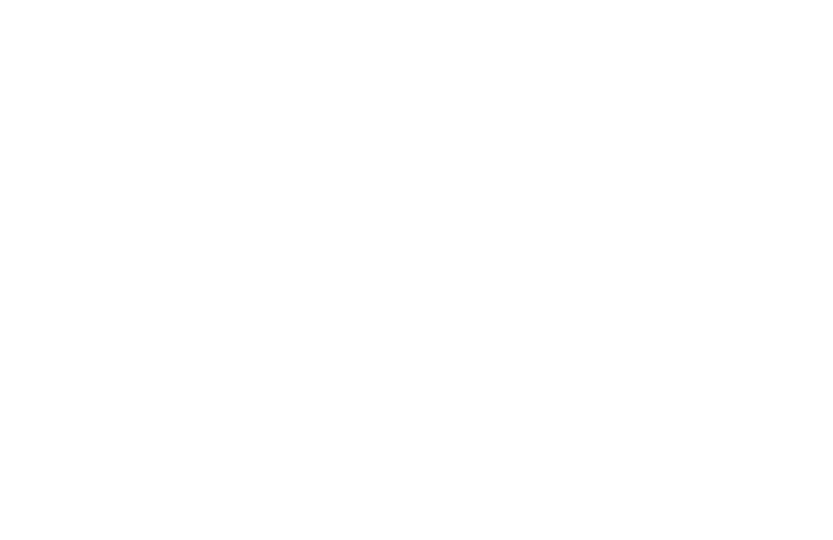 Logotipo bpoE Blanco bpoExternaliza